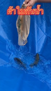 ผ้าใบวัสดุใหม่ของเยอรมันปี 2025 ทนทาน 99 ปี ผ้าเต้นกันฝน TPU/PES กันแดดกันน้ำ200%ทั้งสองด้าน กันแดด/ทนต่อการฉีกขาด