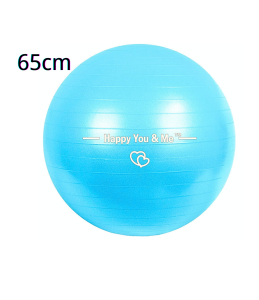 RENFOO 45cm 55cm 65cm 75cm 85cm Anti-Burst Yoga Ball with Pump Extra Thick Stability Exercise Ball for Gym Fitness