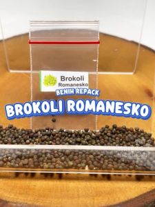 Benih Brokoli Romanesko Unggulan Berkualitas bibit biji repack sayuran sayur romanesco bunga kol romawi unik hydroponik hidroponik