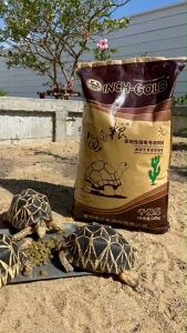 Inch-Gold อาหารเต่าบก ยกกระสอบ 10 กิโลกรัม