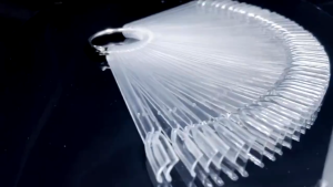 Marian Beauty 50 Pcs Acrylic Nail Polish Swatch Shade Chart Display Sticks Display Card with Buckle Nail Art Tips Practice