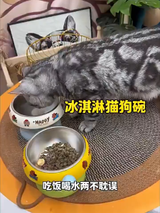 Stainless Steel Elevated Cat Bowl Cute Ice Cream Pet Food &Water Bowl With Non-Slip Rubber Base