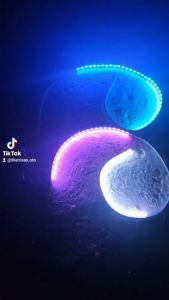 (Giá 1 dây) Dây led  nhiều màu sắc tích hợp đa hiệu ứng mới có chế độ ngựa đua dây nguồn chỉ có 2 dây đấu đơn giản chạy điện 12v hoặc 24v