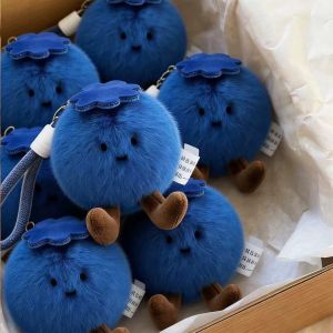 DIANSHIFANG | Lucky Blueberry Plush Toy