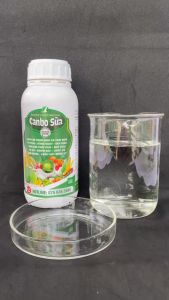 Phân bón lá Canbo Sữa 500ml - Chống rụng hoa trái non cho cây ăn trái.