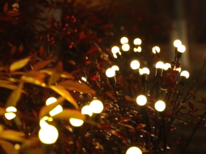 Solar Firefly Lights LED 6/8/10 Heads Outdoor Waterproof Garden Lights IP65 for Patio Road Lawn Cemetery Landscape Lights Birthday Party Christmas Decoration Lighting