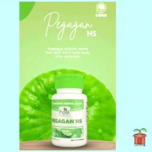 Kapsul Kecerdasan Memperlancar Sirkulasi Darah Pegagan Hs HNI Ekstrak Herba Alam Centella Asiatica
