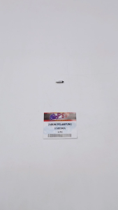 Jarum Pelampung Karisma - Plampung Apung Ventilator Pentilator Karbu Kharisma Kirana Supra X 125