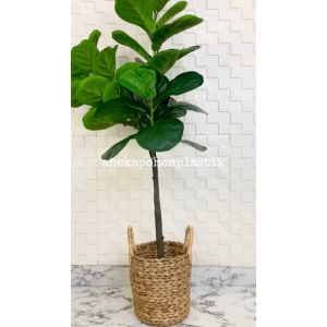 Tanaman Hiasan Pohon Daun Ketapang X3 T140 Latex Artificial Pot Dasar Cover Eceng Gondok Handle Dekorasi Caffe Aesthetic