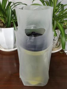 Thickened Plastic Drink Bags for Takeaway Milk Tea Double Cup Transparent Single Double Cup Beverage Packaging Bags