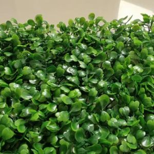 Daun Dollar Plastik Dekorasi Dinding Sintetis Ukuran 60x40 cm