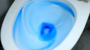 SANNI Tablet Biru Pembersih Closet WC Toilet Kloset Anti Bau Bakteri