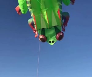 Frog kite inflatable kites flying for adults kites cometas profesionales kite cerf volant gonflable outdoor games aquilone pipa
