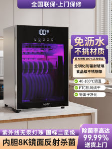 Home Use Stainless Steel Tabletop Small Stand Type Dishwasher Free Drain New Style Utensil Drying Ultraviolet Disinfection Bowl Cabinet