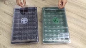 12/40 Holes Seed Starter Tray Seedling Plant Trays with Humidity Vented Domes Bases Seed Starting Indoor Gardening Greenhouse