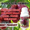 Pupuk cair organik buah jambu super lebat booster buah jambu pemanis pelebat buah jambu. 