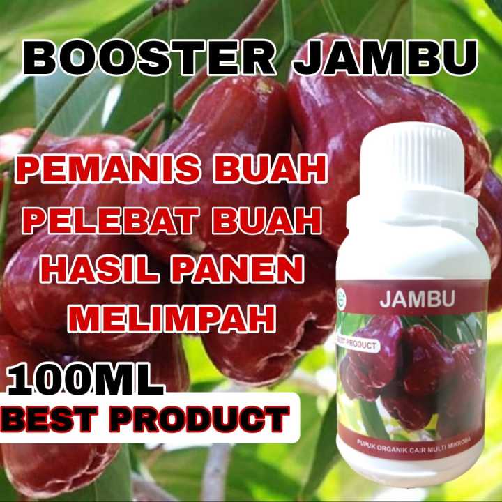 Pupuk cair organik buah jambu super lebat booster buah jambu pemanis pelebat buah jambu