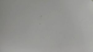 ONE-A115 Tempat Pensil 2IN1 LCD Pen Case Drawing Pad Edukasi Anak Drawing Box Kotak Pensil dan Papan