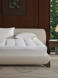 KANGERXIN | Anti Mite Mattress Pad