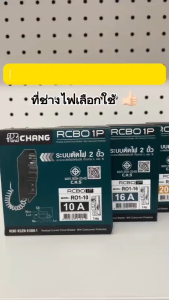 Chang ลูกเซอร์กิต เบรกเกอร์ RCBO 1P 10A 16A 20A 32A