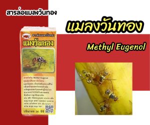 สารล่อแมลงวันทอง Methyl Eugenol ขนาด 30 ซีซี