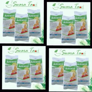 Fungisida Kontak Antracol 70WP 250 gram Original