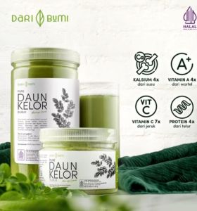 NEW TERLARIS DAUN KELOR 400 gr PURE DAUN KELOR MORINGGA ORGANIK