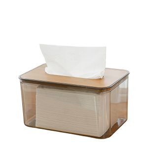 Unembellished Style Transparent Bamboo Lid Tissue Storage Box ZJH01