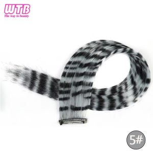 Synthetic One Card Hair Extension Wig Hair For Women Long Straight Clip-in Colored Zebra Line Feather Hair Extensions Fake Hair