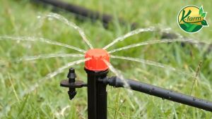 20 ตัว หัวน้ำหยด ปรับได้ 8 รู พร้อม 13 เซนติเมตร สายไมโคร 5/7 มิล ขาปักน้ำหยด ระบบ น้ำ น้ำต้นไม้ K FARM