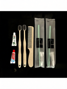 Eco-friendly Soft Bristle Disposable Toothbrush Set