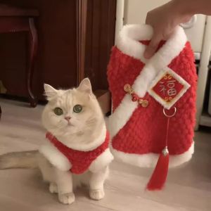New Year Celebration Embroidered Cat Clothes Pet Sweater Golden Gradient Small Dog Winter Autumn Velour Year of the Cat Puppy