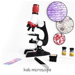 microscope 1200x