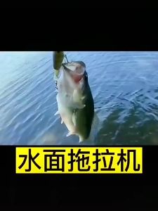 T Tail Worm Soft Fishing Lure TPR Soft Bait Paddle Tail Swimbait for Bass Trout Shad Carp Fishing