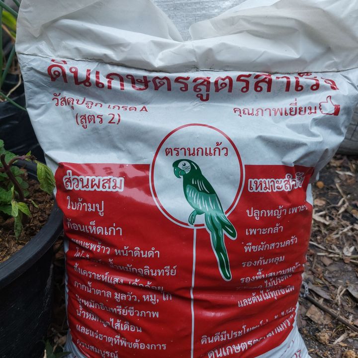 7 อันดับวัสดุเพาะปลูกและดินปลูกที่ดีที่สุดสำหรับสวนสวยในปี 2025