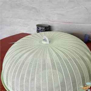 Jiaxun | Dust-Proof Fly-Repellent Plastic Food Cover