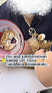 PetClear Cat Nutrition Cream 120g for Hairball Care | Easy Feeding Daily Supplement Gel for Cats