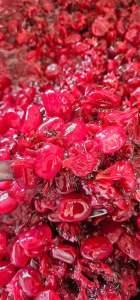 Đác Rim Atiso Hộp 550gr