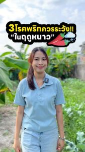 เชื้อราข้าว โรคพืช เมล็ดด่าง กำจัดเชื้อรา ไคโตซาน วัคซีนพืชซูปเปอร์ไบโอฟิต