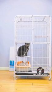 DD Cat & Pet Luxury Multi-Stage Metal Cage with Lockable Wheels and Portable Hammock