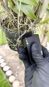 [ HOT PRODUCT] Ready Stock Poker UV Blue Red light Green Flame Metal Inflatable Windproof Gas Lighter