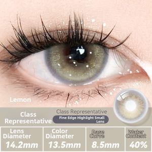 Rich Thai-style Daily Disposable Color Contact Lenses 10 Pieces