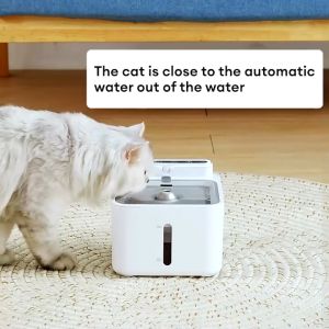 Cat Water Fountain ireless 3L 5200mah silent Pet Water Dispenser With Stainless Bowl 宠物饮水机