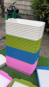 icon video play icon arrow left boldicon arrow right bold แชร์: 0 ถาดเพาะเมล็ดสีสันสวยเเบบใหม่ ถาดเพาะต้นกล้า พลาสติกหนา เหนียว เกรด A ขนาดพอดีกับ ฟองน้ำ ปลูกผักไฮโดรโปนิกส์