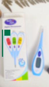 BABYSAFE Termometer THE01 / Thermometer Digital Pengukur Suhu Tubuh / Baby Safe BANDUNG
