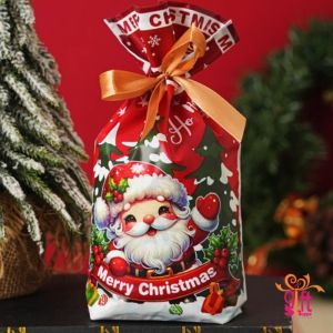 [10-50pcs] 8 designs Cute Christmas Cookies Goodies Bag 15x23cm | Beg Goodies Biskut Comel Krismas 8 Corak Food Grade