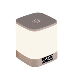 XLYS | Smart Voice Controlled Night Light