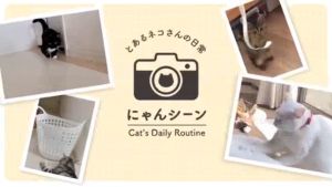 Lihit Lab 13 Laptop Sleeve Laptop Bag Cute Cat Zipper bag Lightweight & Protective Coverhigh quality