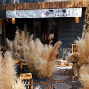 Accessible Luxury Large Reed Pampas Grass Import Dried Flower Classy Home Decoration Soft Decoration Floor Natural Shooting Props Preserved Fresh Flower