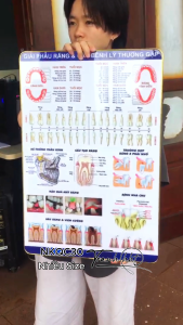 Tranh giải phẫu răng tranh răng miệng tranh phòng khám nha Tranh Nha Khoa giải phẫu răng & các bệnh lí thường gặp tráng gương treo tường NKQC30
